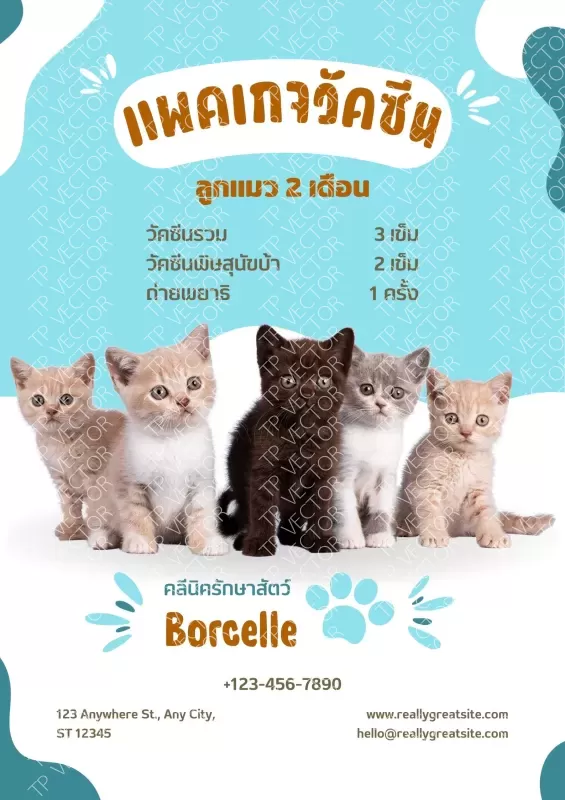 แพคเกจวัคซีน